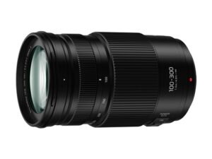 LUMIX G VARIO 100-300mm F4.0-5.6 II POWER O.I.S. 遠攝變焦鏡頭 (平行進口) - 型號 H-FSA100300
